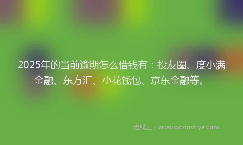 2025年的当前逾期怎么借钱有：投友圈、度小满金融、东方汇、小花钱包、京东金融等。