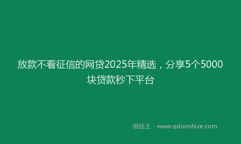 放款不看征信的网贷2025年精选，分享5个5000块贷款秒下平台