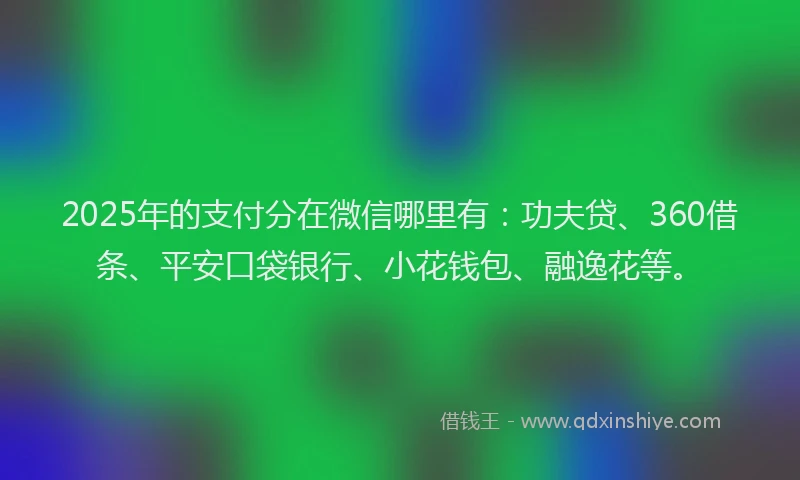 2025年的支付分在微信哪里有：功夫贷、360借条、平安口袋银行、小花钱包、融逸花等。