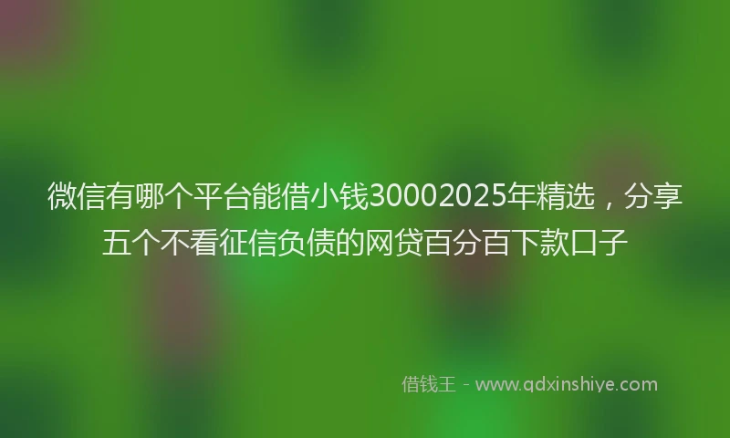 微信有哪个平台能借小钱30002025年精选，分享五个不看征信负债的网贷百分百下款口子