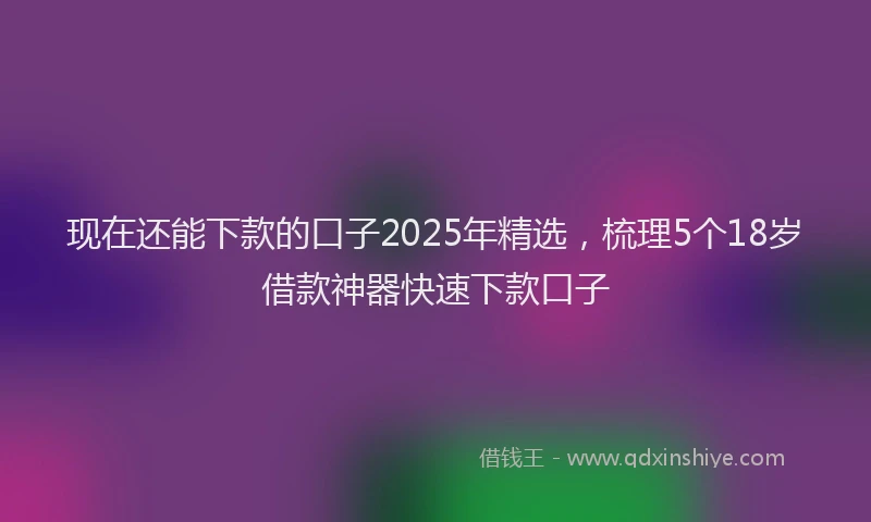 现在还能下款的口子2025年精选，梳理5个18岁借款神器快速下款口子