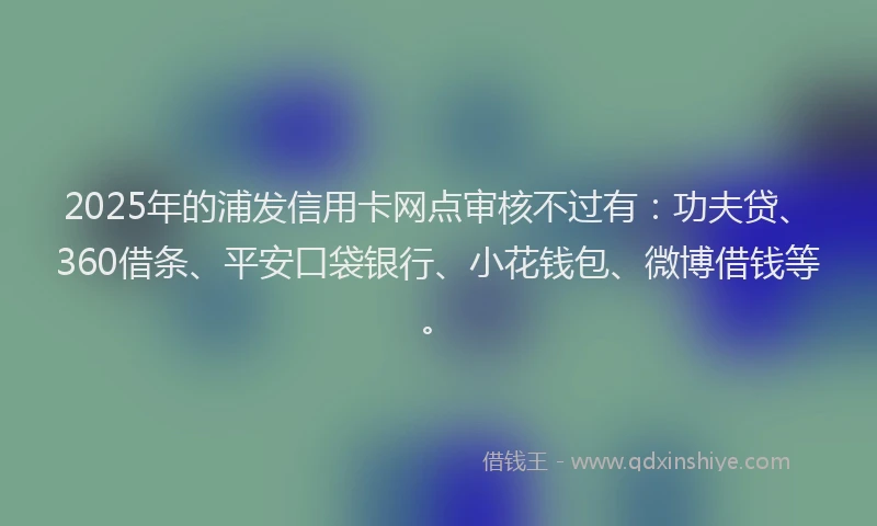 2025年的浦发信用卡网点审核不过有：功夫贷、360借条、平安口袋银行、小花钱包、微博借钱等。