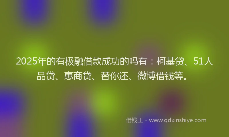 2025年的有极融借款成功的吗有：柯基贷、51人品贷、惠商贷、替你还、微博借钱等。