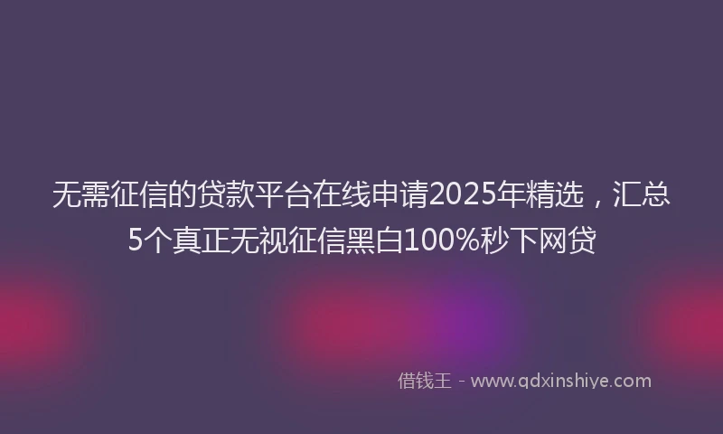 无需征信的贷款平台在线申请2025年精选，汇总5个真正无视征信黑白100%秒下网贷
