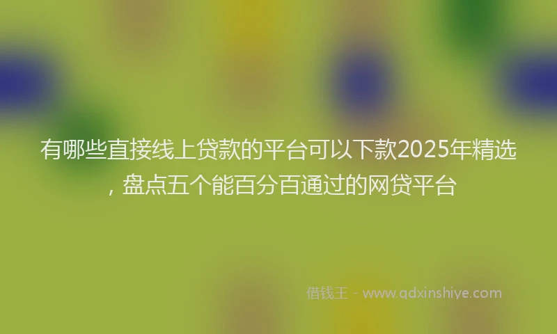 有哪些直接线上贷款的平台可以下款2025年精选，盘点五个能百分百通过的网贷平台