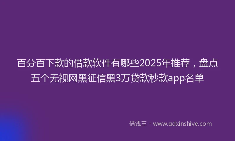 百分百下款的借款软件有哪些2025年推荐，盘点五个无视网黑征信黑3万贷款秒款app名单