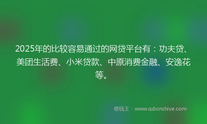 2025年的比较容易通过的网贷平台有：功夫贷、美团生活费、小米贷款、中原消费金融、安逸花等。