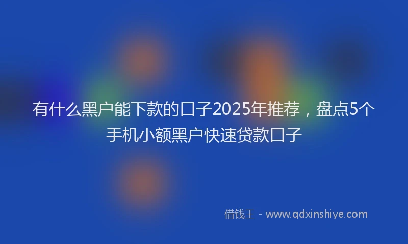 有什么黑户能下款的口子2025年推荐，盘点5个手机小额黑户快速贷款口子