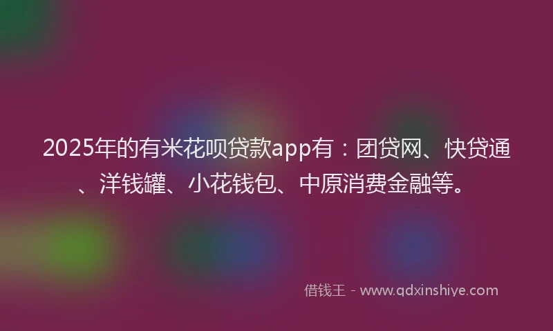 2025年的有米花呗贷款app有：团贷网、快贷通、洋钱罐、小花钱包、中原消费金融等。