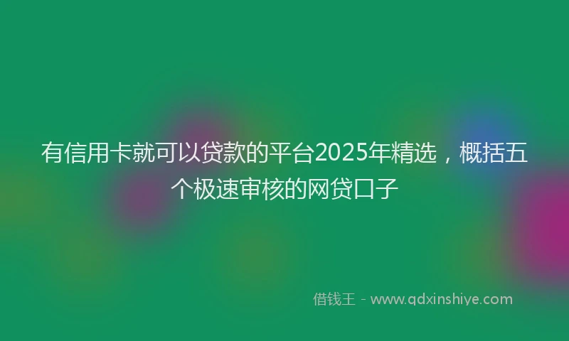 有信用卡就可以贷款的平台2025年精选，概括五个极速审核的网贷口子