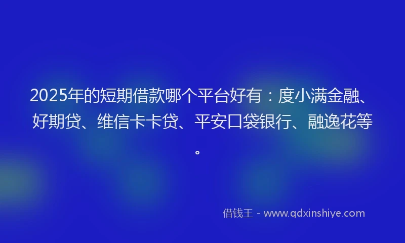 2025年的短期借款哪个平台好有：度小满金融、好期贷、维信卡卡贷、平安口袋银行、融逸花等。