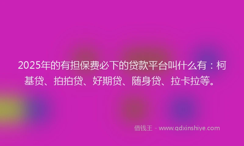 2025年的有担保费必下的贷款平台叫什么有：柯基贷、拍拍贷、好期贷、随身贷、拉卡拉等。