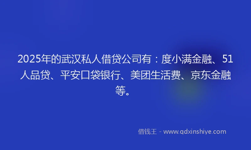 2025年的武汉私人借贷公司有：度小满金融、51人品贷、平安口袋银行、美团生活费、京东金融等。
