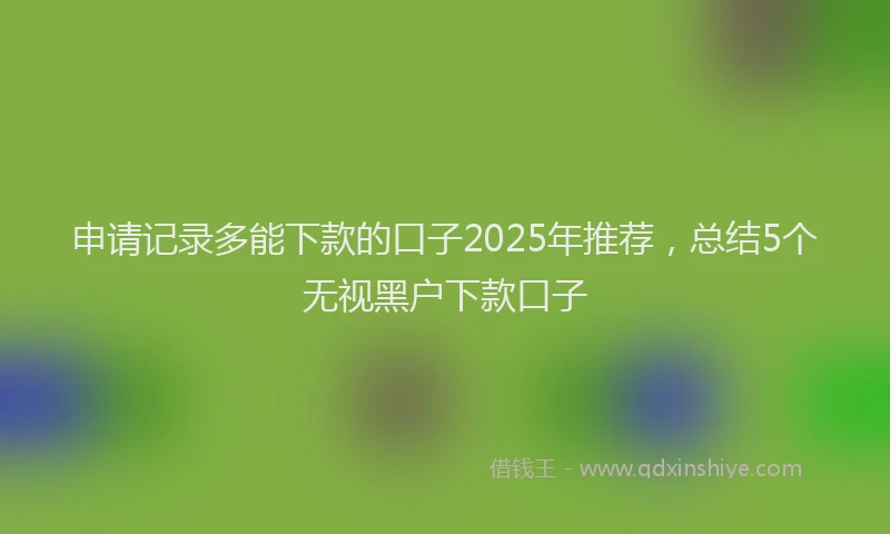 申请记录多能下款的口子2025年推荐，总结5个无视黑户下款口子