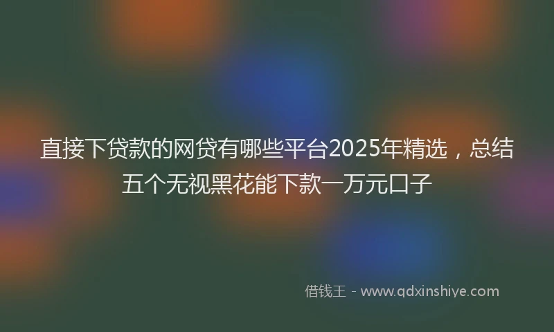 直接下贷款的网贷有哪些平台2025年精选，总结五个无视黑花能下款一万元口子