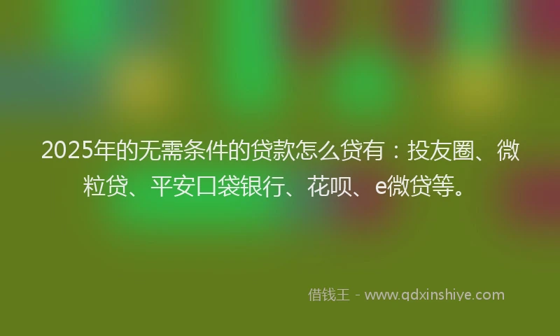 2025年的无需条件的贷款怎么贷有：投友圈、微粒贷、平安口袋银行、花呗、e微贷等。