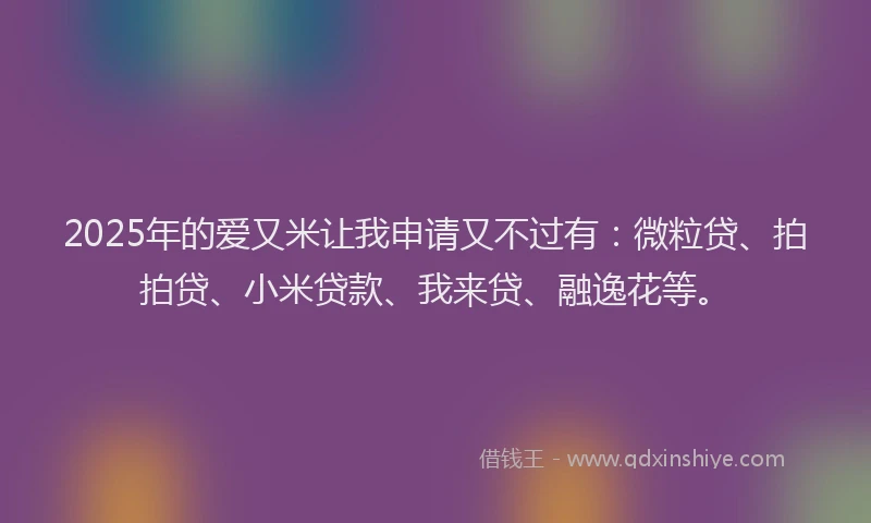2025年的爱又米让我申请又不过有：微粒贷、拍拍贷、小米贷款、我来贷、融逸花等。