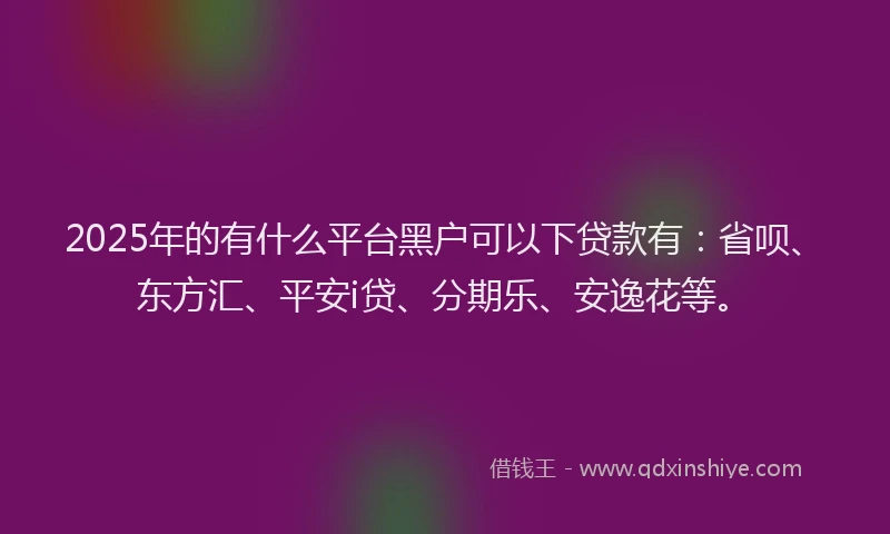 2025年的有什么平台黑户可以下贷款有：省呗、东方汇、平安i贷、分期乐、安逸花等。