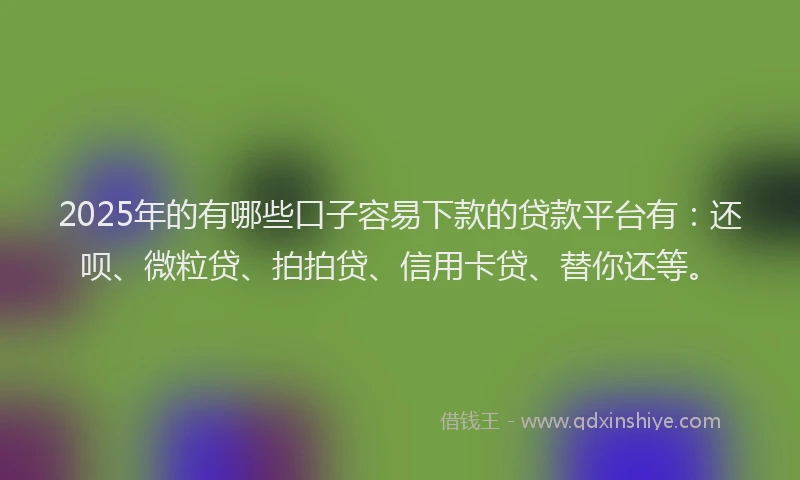 2025年的有哪些口子容易下款的贷款平台有：还呗、微粒贷、拍拍贷、信用卡贷、替你还等。