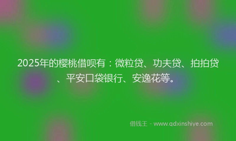 2025年的樱桃借呗有：微粒贷、功夫贷、拍拍贷、平安口袋银行、安逸花等。