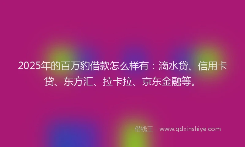 2025年的百万豹借款怎么样有：滴水贷、信用卡贷、东方汇、拉卡拉、京东金融等。