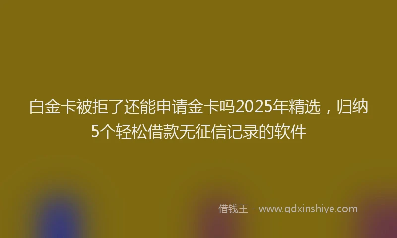 白金卡被拒了还能申请金卡吗2025年精选，归纳5个轻松借款无征信记录的软件