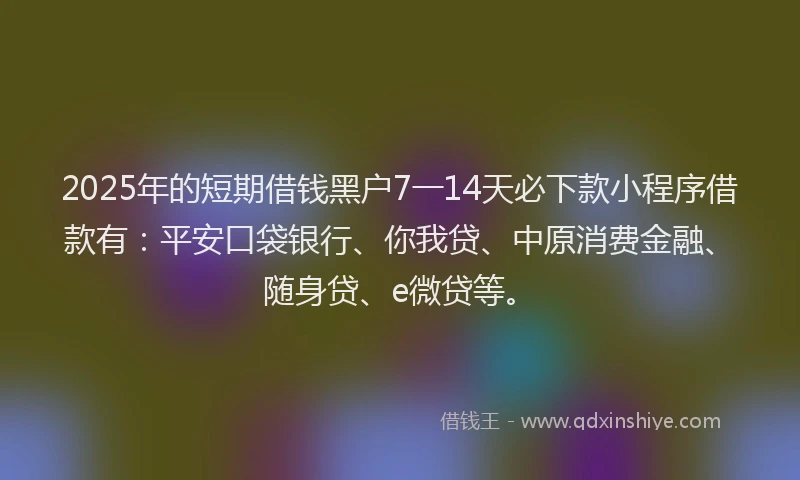 2025年的短期借钱黑户7一14天必下款小程序借款有：平安口袋银行、你我贷、中原消费金融、随身贷、e微贷等。