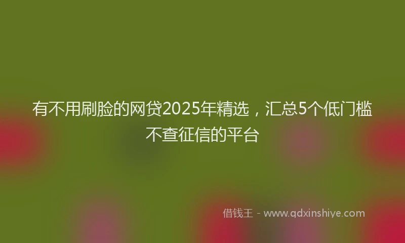 有不用刷脸的网贷2025年精选，汇总5个低门槛不查征信的平台