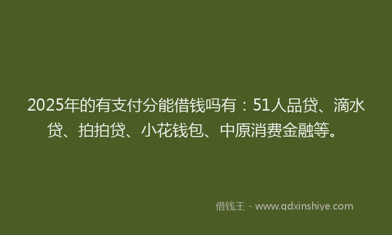 2025年的有支付分能借钱吗有：51人品贷、滴水贷、拍拍贷、小花钱包、中原消费金融等。