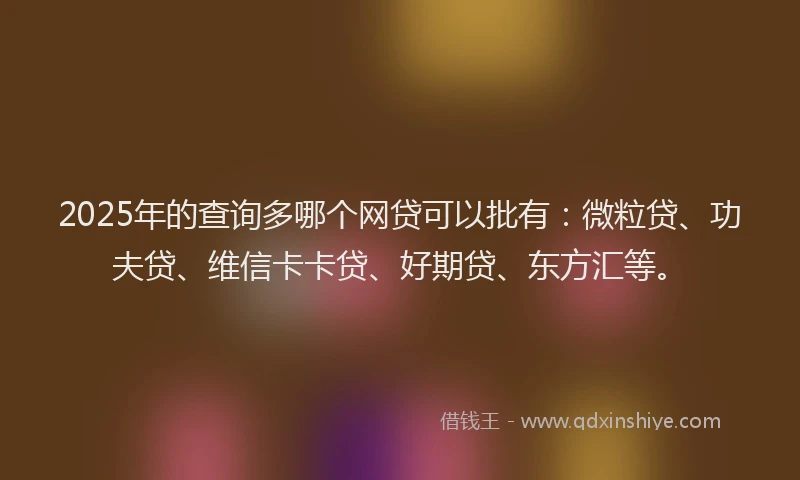 2025年的查询多哪个网贷可以批有：微粒贷、功夫贷、维信卡卡贷、好期贷、东方汇等。