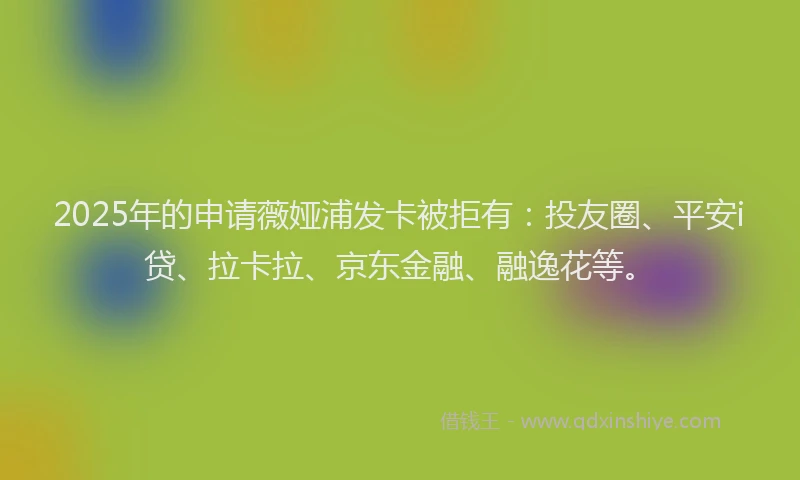 2025年的申请薇娅浦发卡被拒有：投友圈、平安i贷、拉卡拉、京东金融、融逸花等。