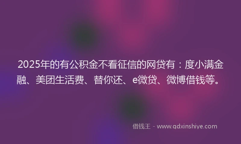 2025年的有公积金不看征信的网贷有：度小满金融、美团生活费、替你还、e微贷、微博借钱等。