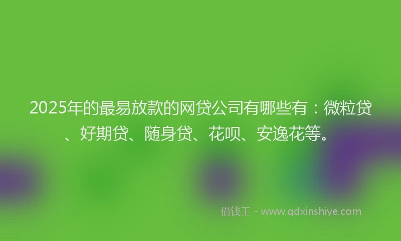 2025年的最易放款的网贷公司有哪些有：微粒贷、好期贷、随身贷、花呗、安逸花等。