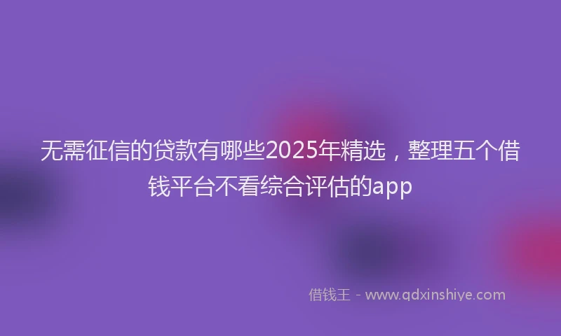 无需征信的贷款有哪些2025年精选，整理五个借钱平台不看综合评估的app