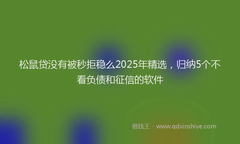 松鼠贷没有被秒拒稳么2025年精选，归纳5个不看负债和征信的软件