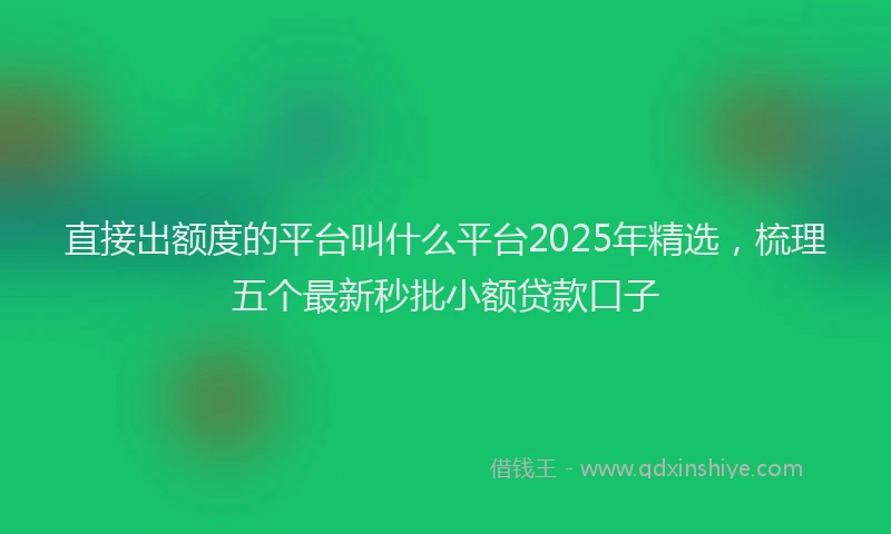 直接出额度的平台叫什么平台2025年精选，梳理五个最新秒批小额贷款口子