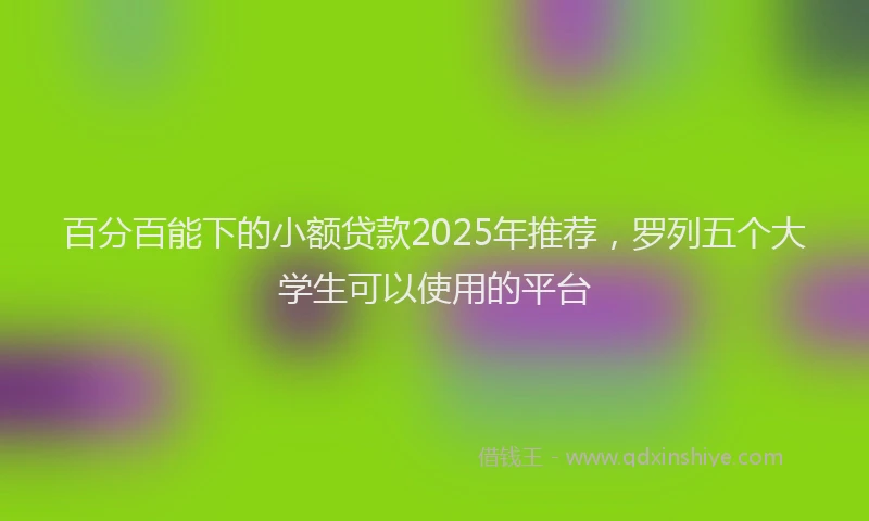 百分百能下的小额贷款2025年推荐，罗列五个大学生可以使用的平台