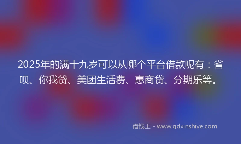 2025年的满十九岁可以从哪个平台借款呢有：省呗、你我贷、美团生活费、惠商贷、分期乐等。