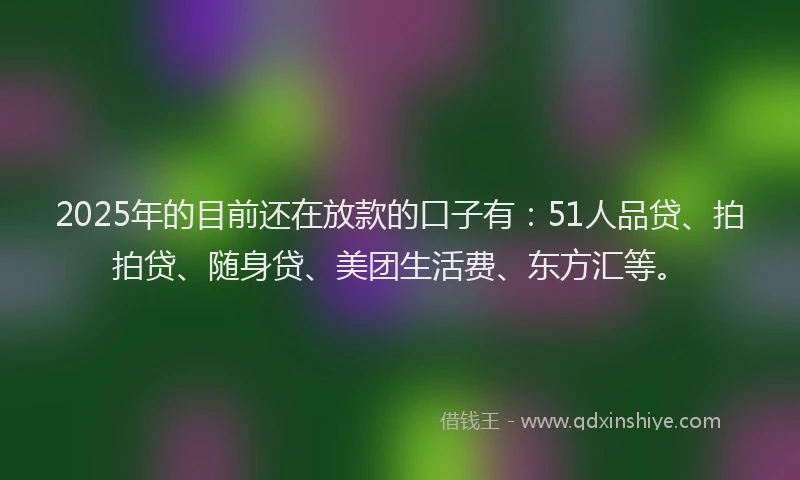 2025年的目前还在放款的口子有：51人品贷、拍拍贷、随身贷、美团生活费、东方汇等。