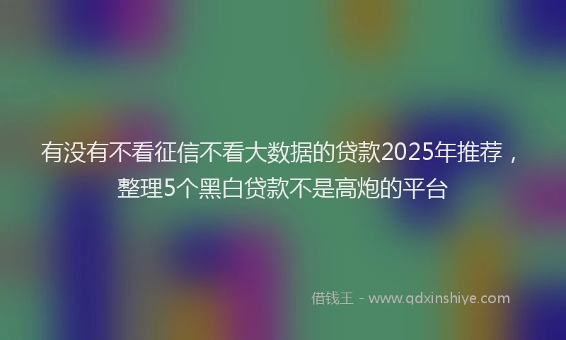 有没有不看征信不看大数据的贷款2025年推荐，整理5个黑白贷款不是高炮的平台