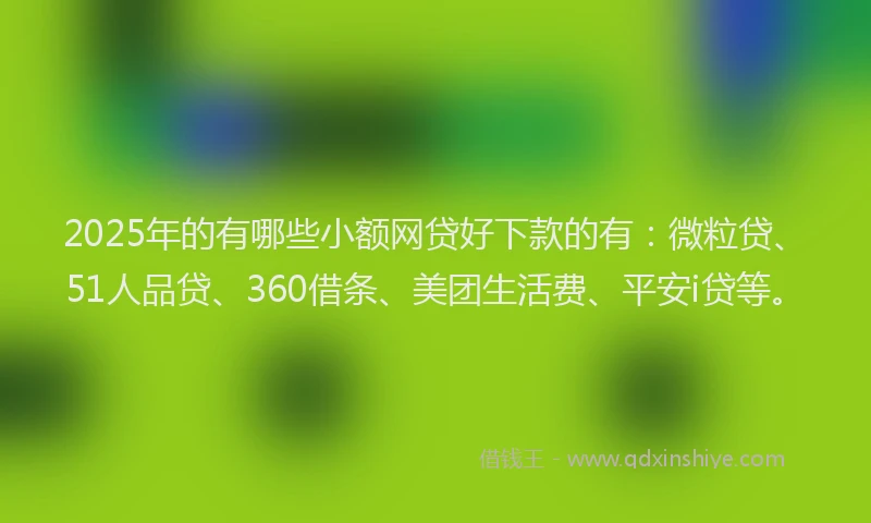 2025年的有哪些小额网贷好下款的有：微粒贷、51人品贷、360借条、美团生活费、平安i贷等。