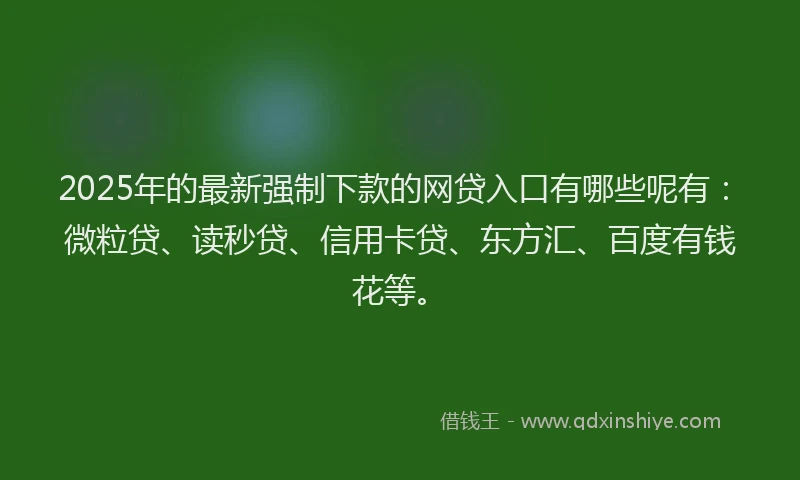 2025年的最新强制下款的网贷入口有哪些呢有：微粒贷、读秒贷、信用卡贷、东方汇、百度有钱花等。