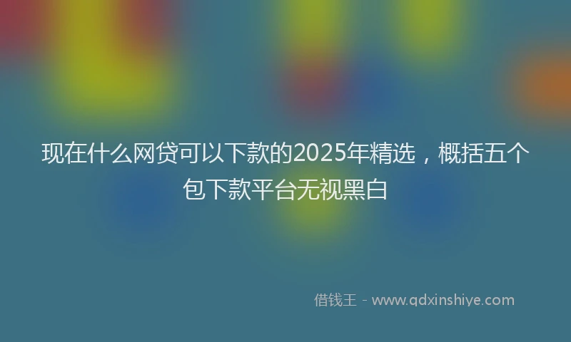 现在什么网贷可以下款的2025年精选，概括五个包下款平台无视黑白