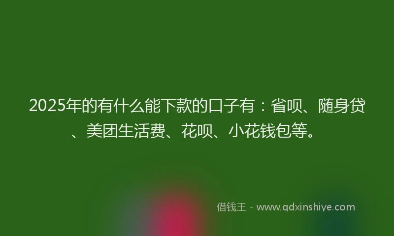 2025年的有什么能下款的口子有：省呗、随身贷、美团生活费、花呗、小花钱包等。