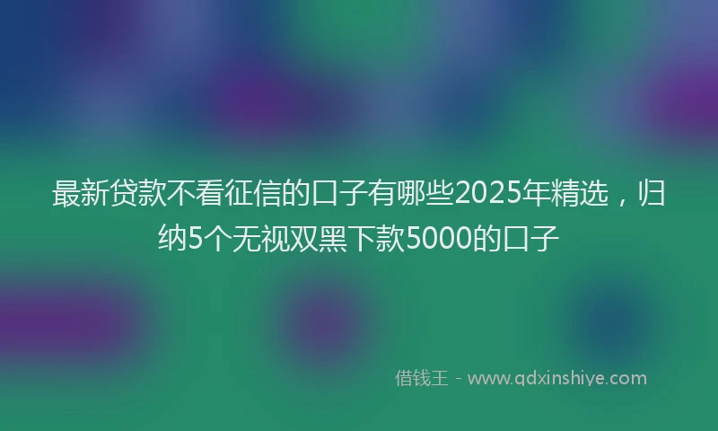 最新贷款不看征信的口子有哪些2025年精选，归纳5个无视双黑下款5000的口子
