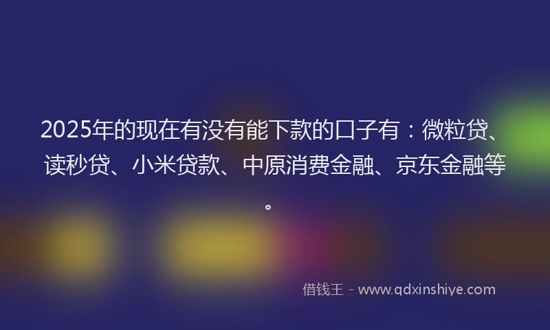 2025年的现在有没有能下款的口子有：微粒贷、读秒贷、小米贷款、中原消费金融、京东金融等。