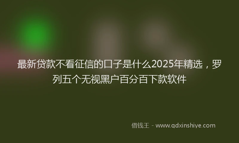 最新贷款不看征信的口子是什么2025年精选，罗列五个无视黑户百分百下款软件