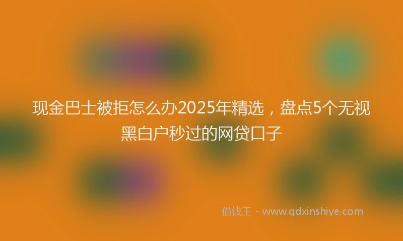 现金巴士被拒怎么办2025年精选，盘点5个无视黑白户秒过的网贷口子