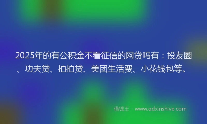 2025年的有公积金不看征信的网贷吗有：投友圈、功夫贷、拍拍贷、美团生活费、小花钱包等。
