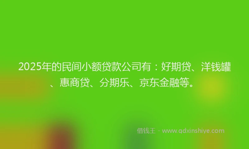 2025年的民间小额贷款公司有：好期贷、洋钱罐、惠商贷、分期乐、京东金融等。
